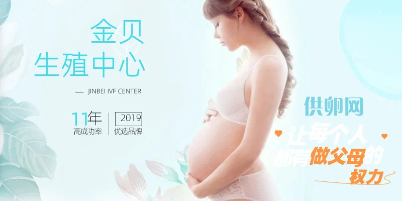 金贝供卵